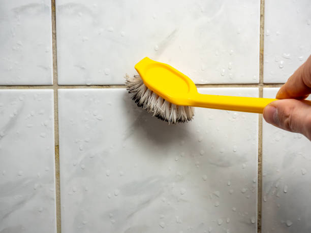 Best Mold Testing  in Woodland Heights, PA